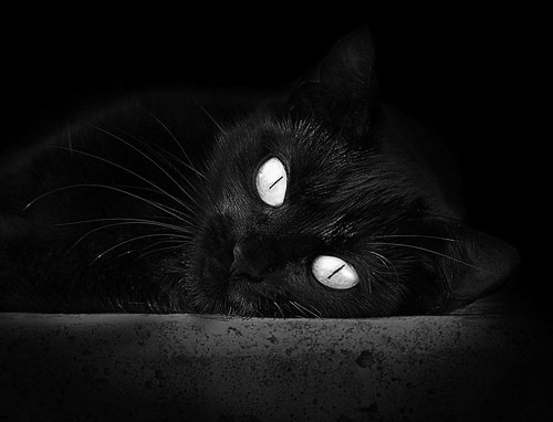 无球防守意识对整体防守体系的影响，无球防守意识对整体防守体系的影响有哪些