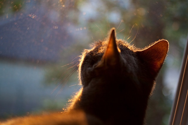 76人新秀在训练中展现出色阅读比赛能力,76人新球员