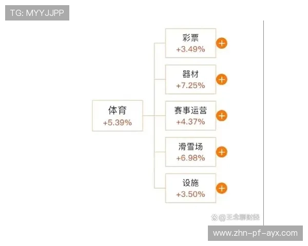 体育产业链的构建与发展(376 ) 体育产业链的构建与发展(376 )