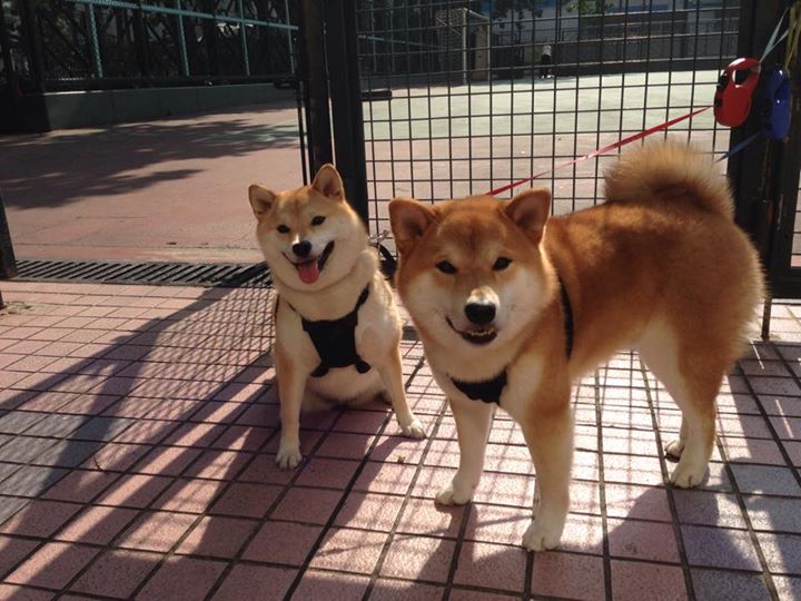 世界杯永恒瞬间:经典如一,值得收藏!,世界杯经典殿堂